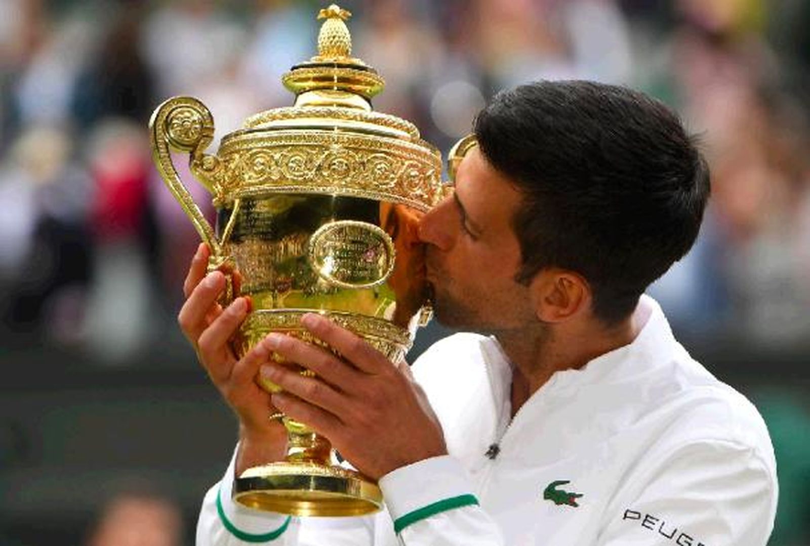 Djokovic besa la copa de campeón en Wimbledon.