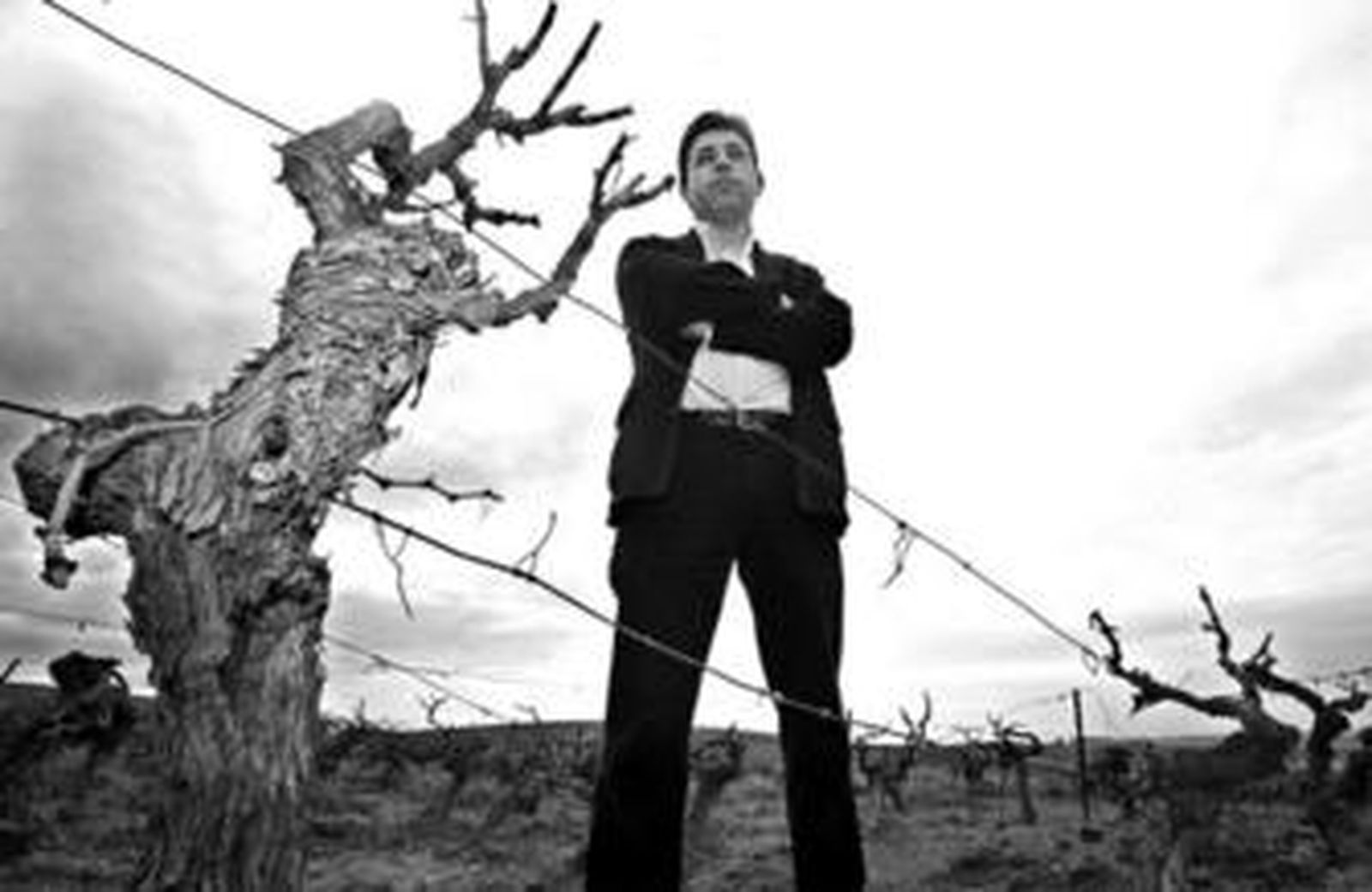 El secretario provincial de Coag rodeado de cepas en una de las viñas del Marco.