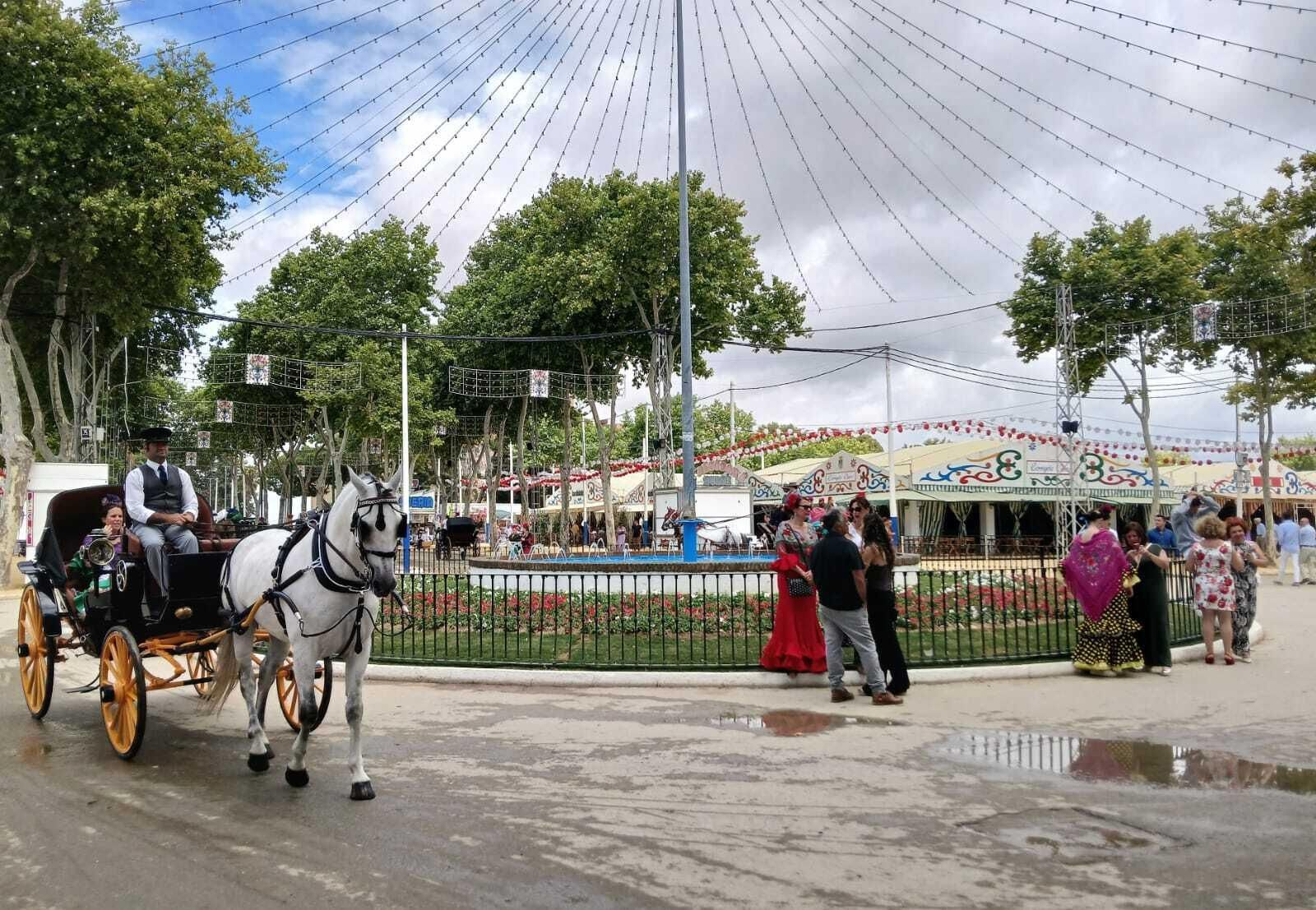 Todas las imágenes del domingo de Feria de El Puerto 2024