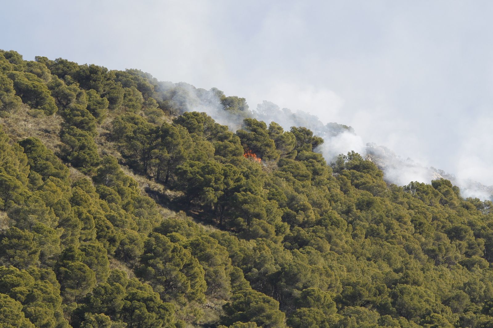 Fotogalería incendio forestal de Castala, Berja y Dalías.
