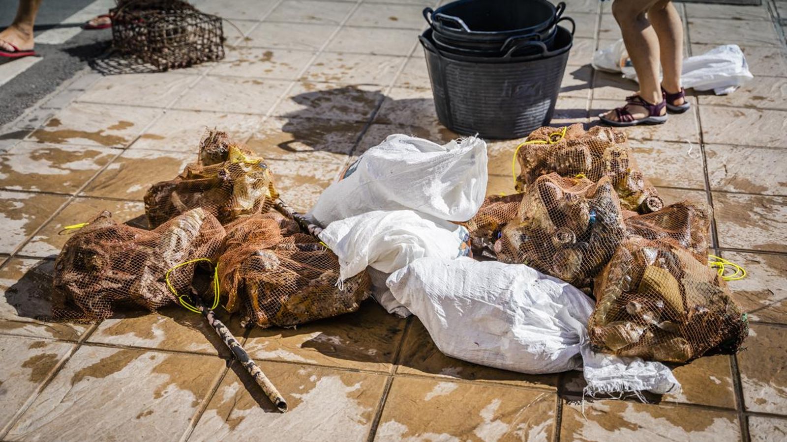 Limpieza fondos marinos