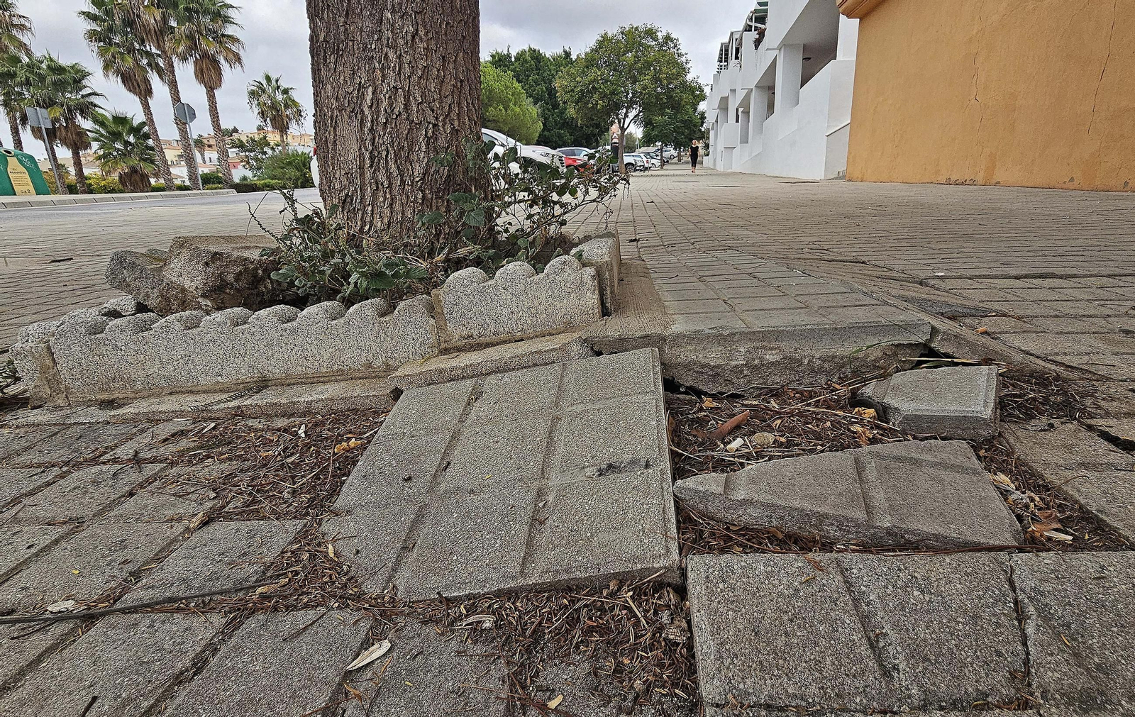 Fotos de los desperfectos en las barriadas de Getares en Algeciras