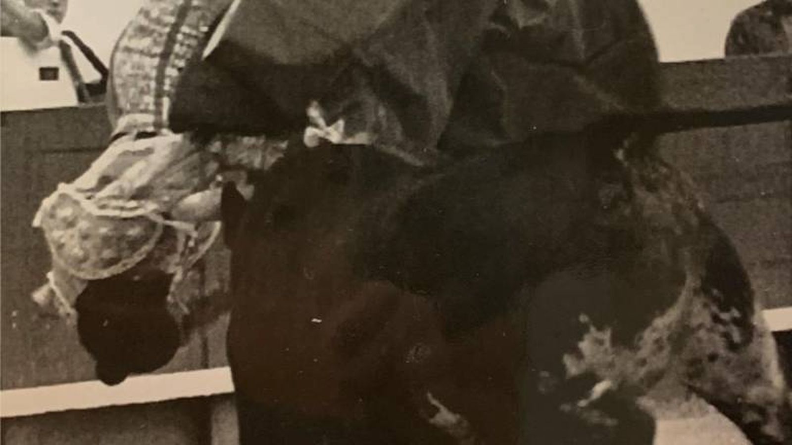 El toro de Cayetano Muñoz volteó a Robles, que se fracturó las vértebras cervicales al caer.