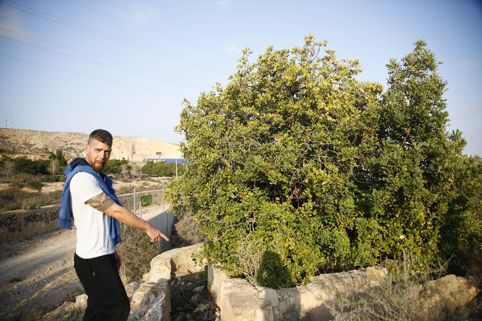 Imágenes de los refugios de la guerra civil descubierto en el barrio de Las Trincheras