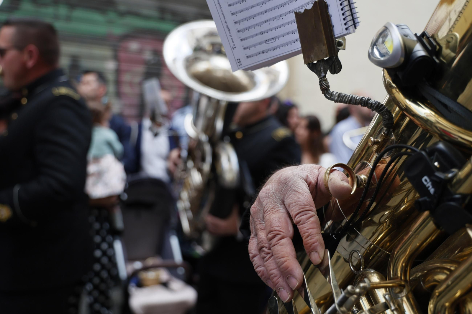 Las imágenes de la Hermandad de La Amargura en la Semana Santa de Sevilla de 2025