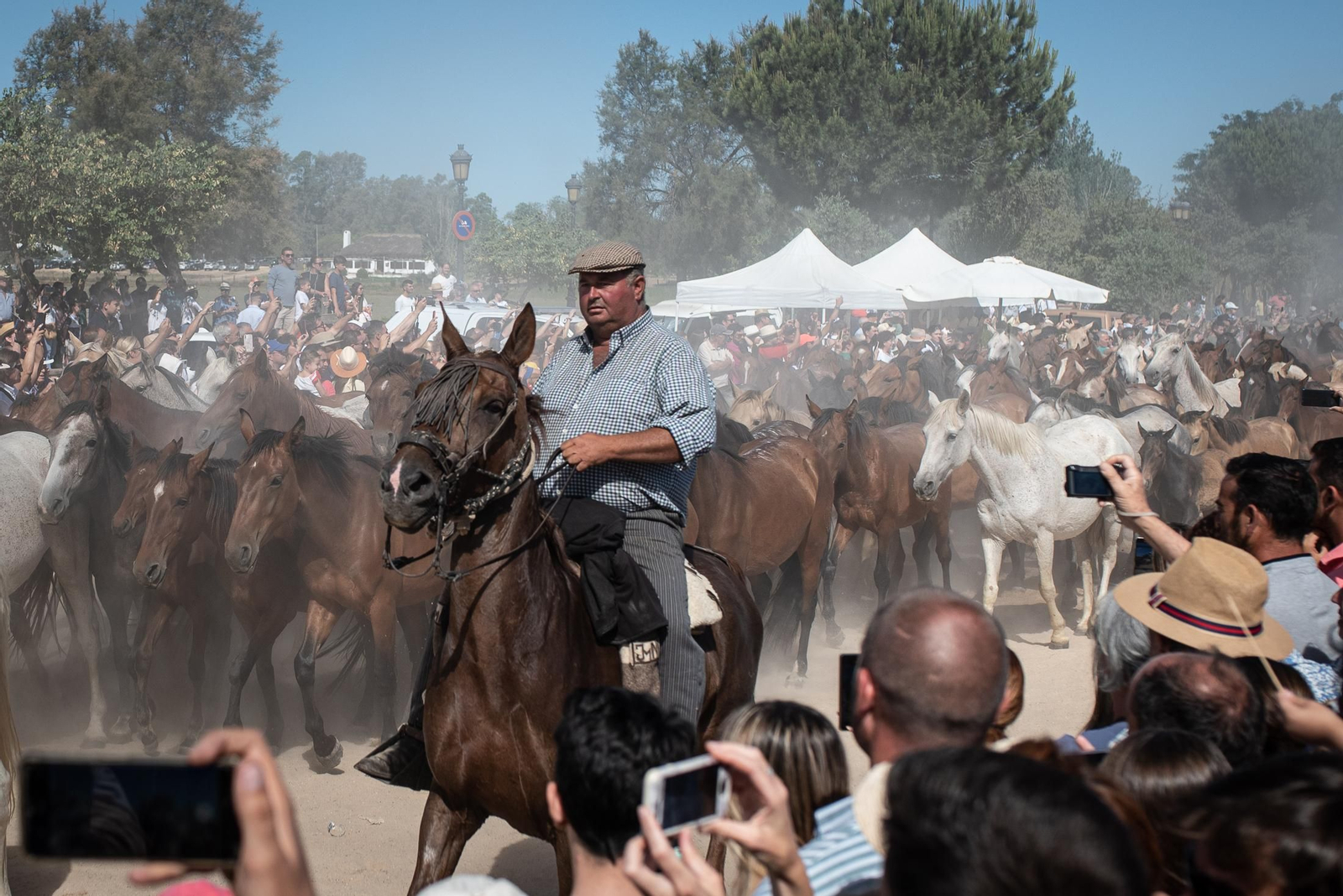 Imágenes de la Saca de las Yeguas a su paso por El Rocío