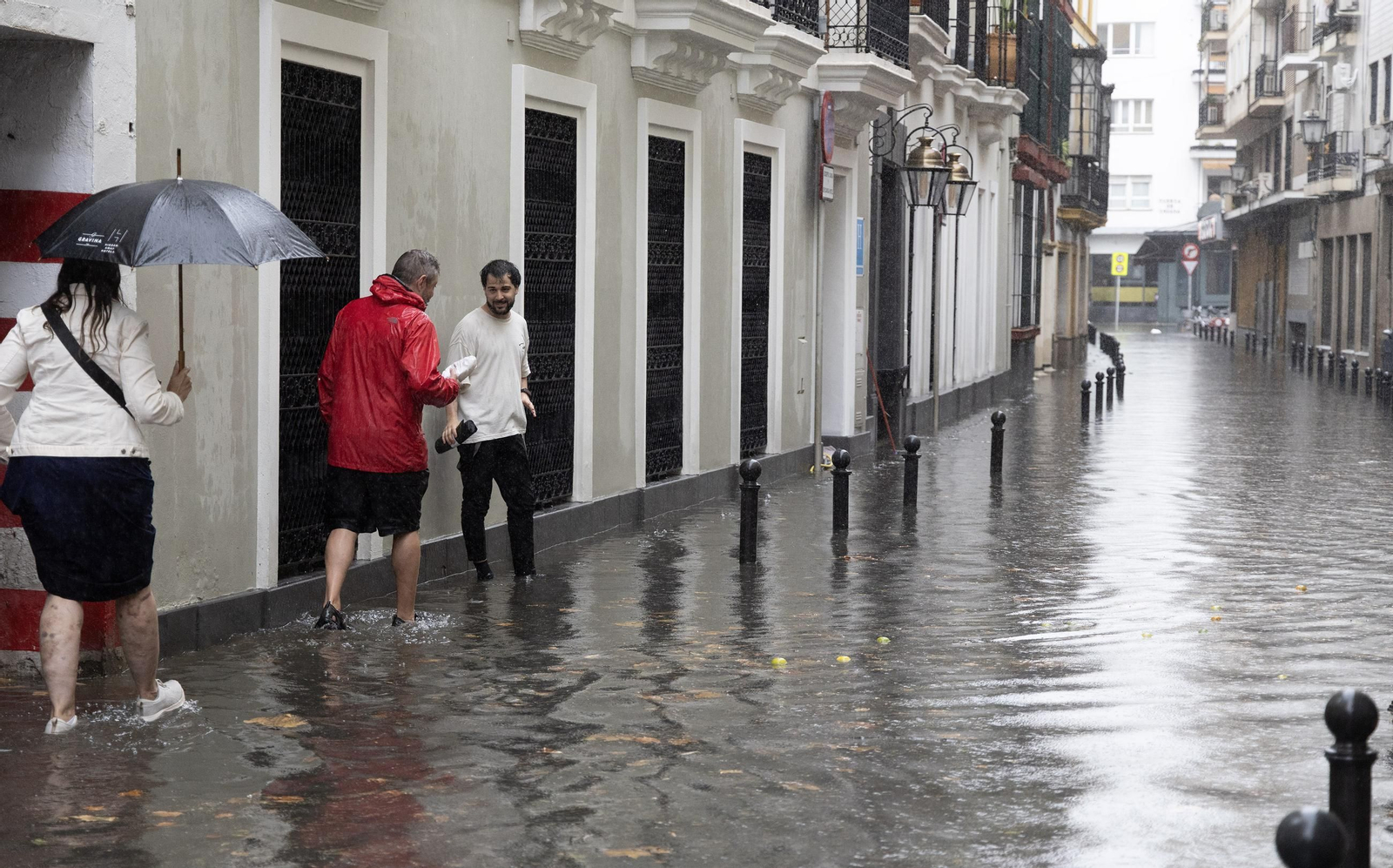 El centro de Sevilla anegado, todas las fotos.