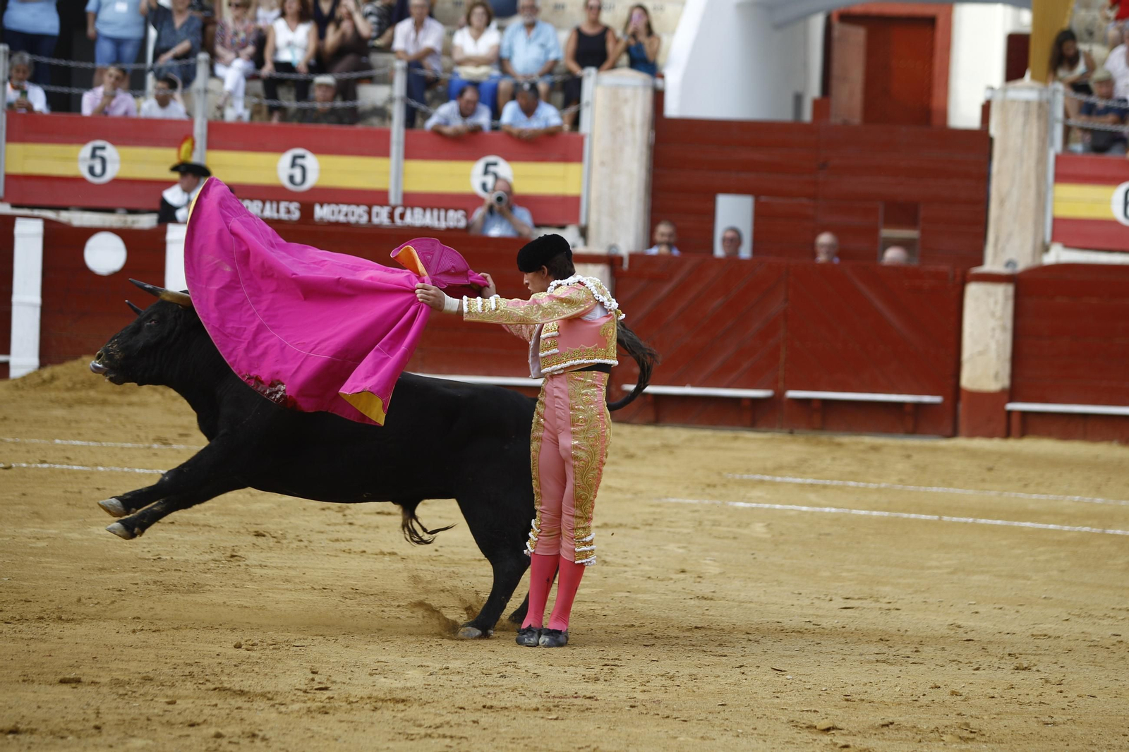 Imágenes de la novillada de la Feria de Almería 2025