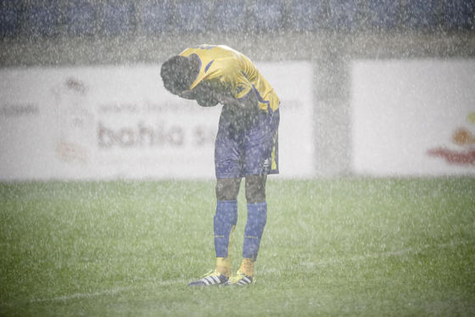 Foto: Lourdes de Vicente