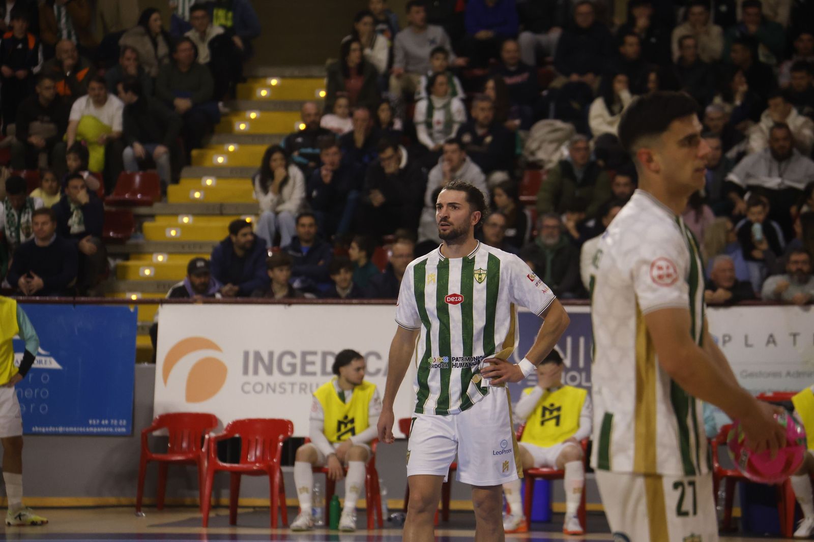 Las mejores fotos del Córdoba Futsal - Alzira en Vista Alegre