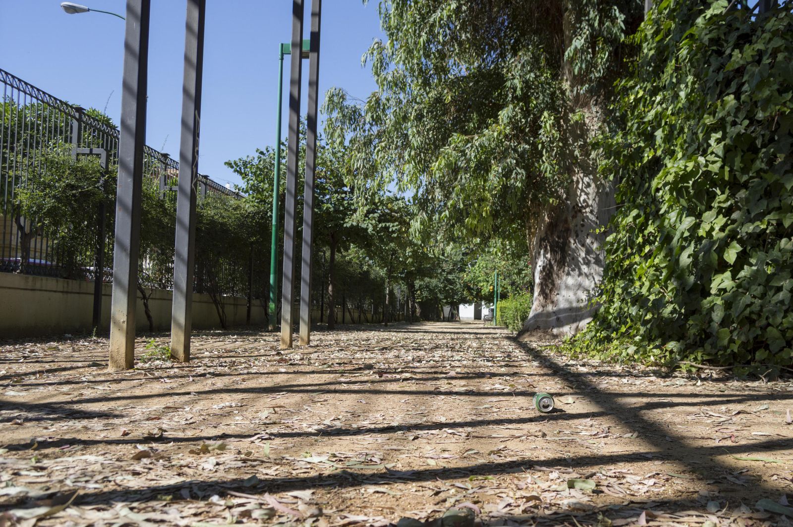 El estado de los Jardines del Valle, en imágenes