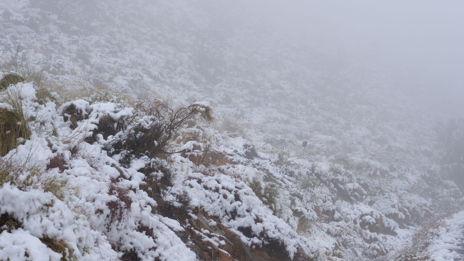 Fotogalería nevada en la Provincia de Almería