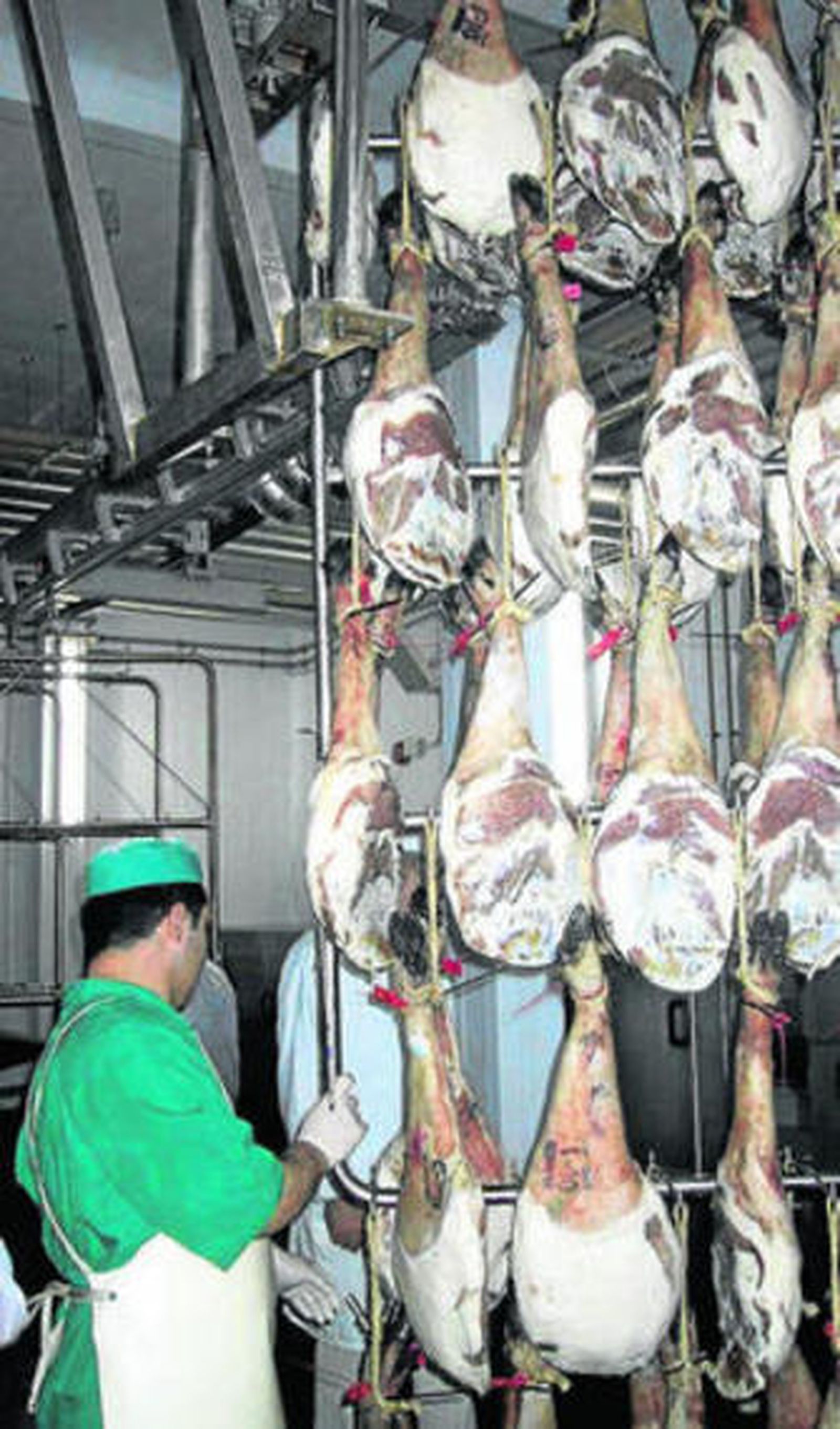 Un operario selecciona jamones en Consorcio de Jabugo.