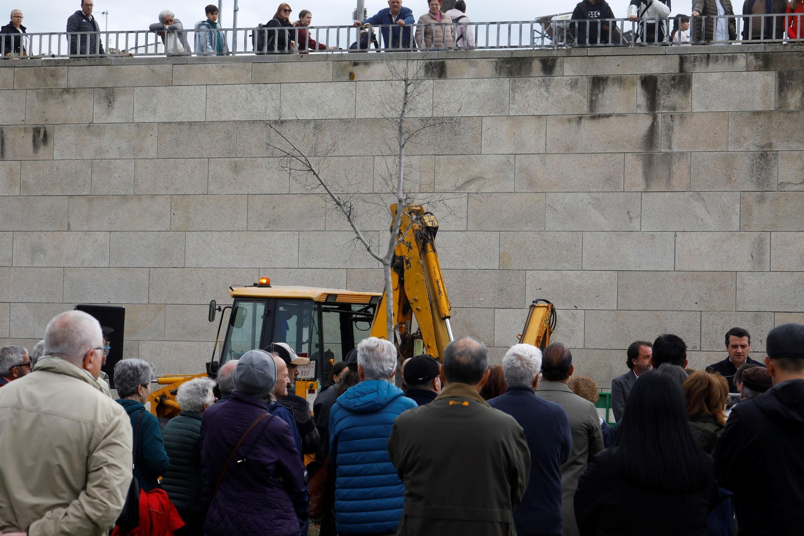 El árbol que siempre recordará a Pepe Larios en Córdoba, en imágenes