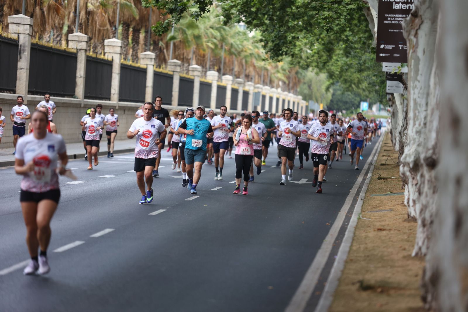 Las mejores fotos de la Carrera Ponle Freno en Málaga
