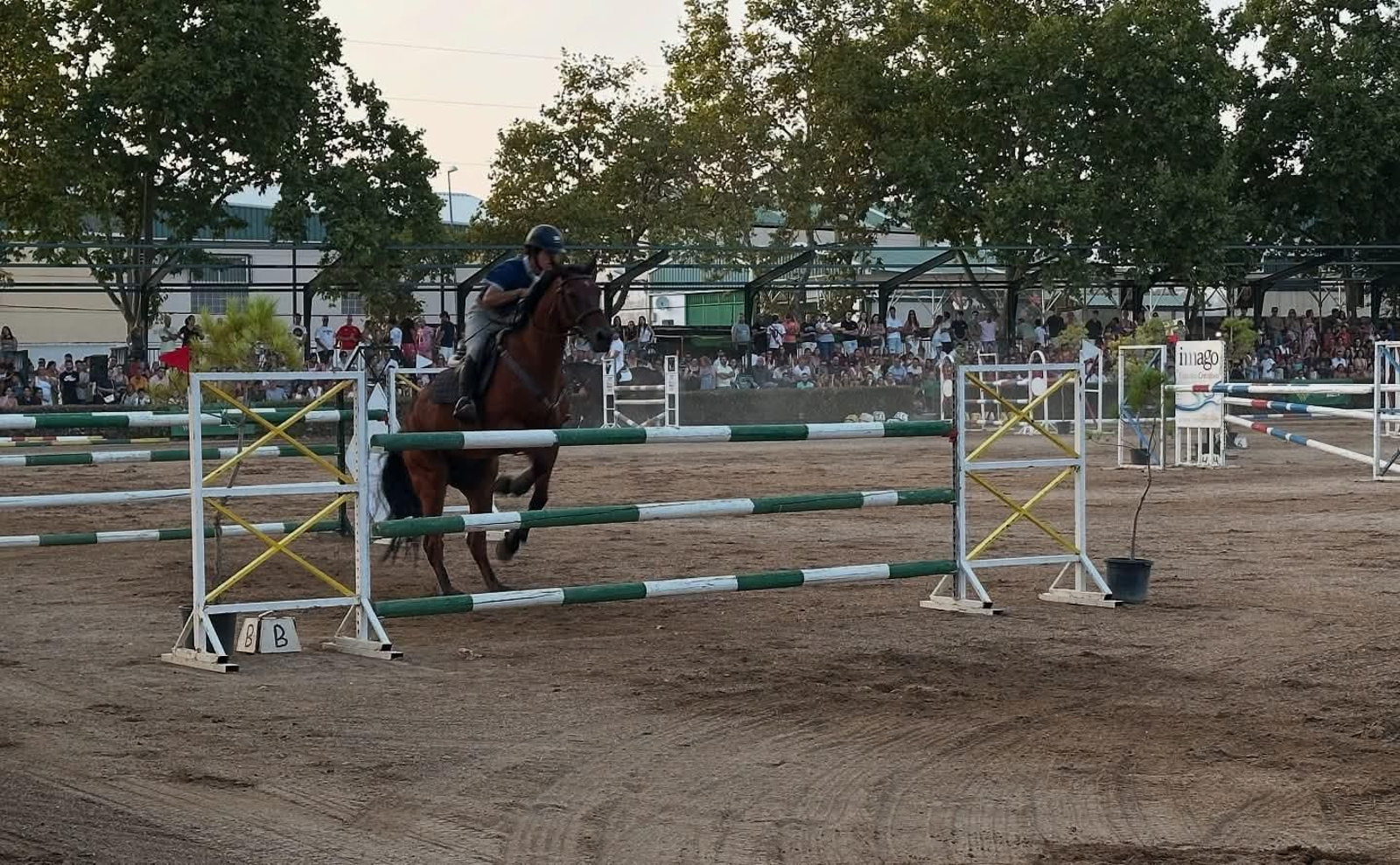 Las actividades deportivas del Pórtico de Feria de Baeza, en imágenes
