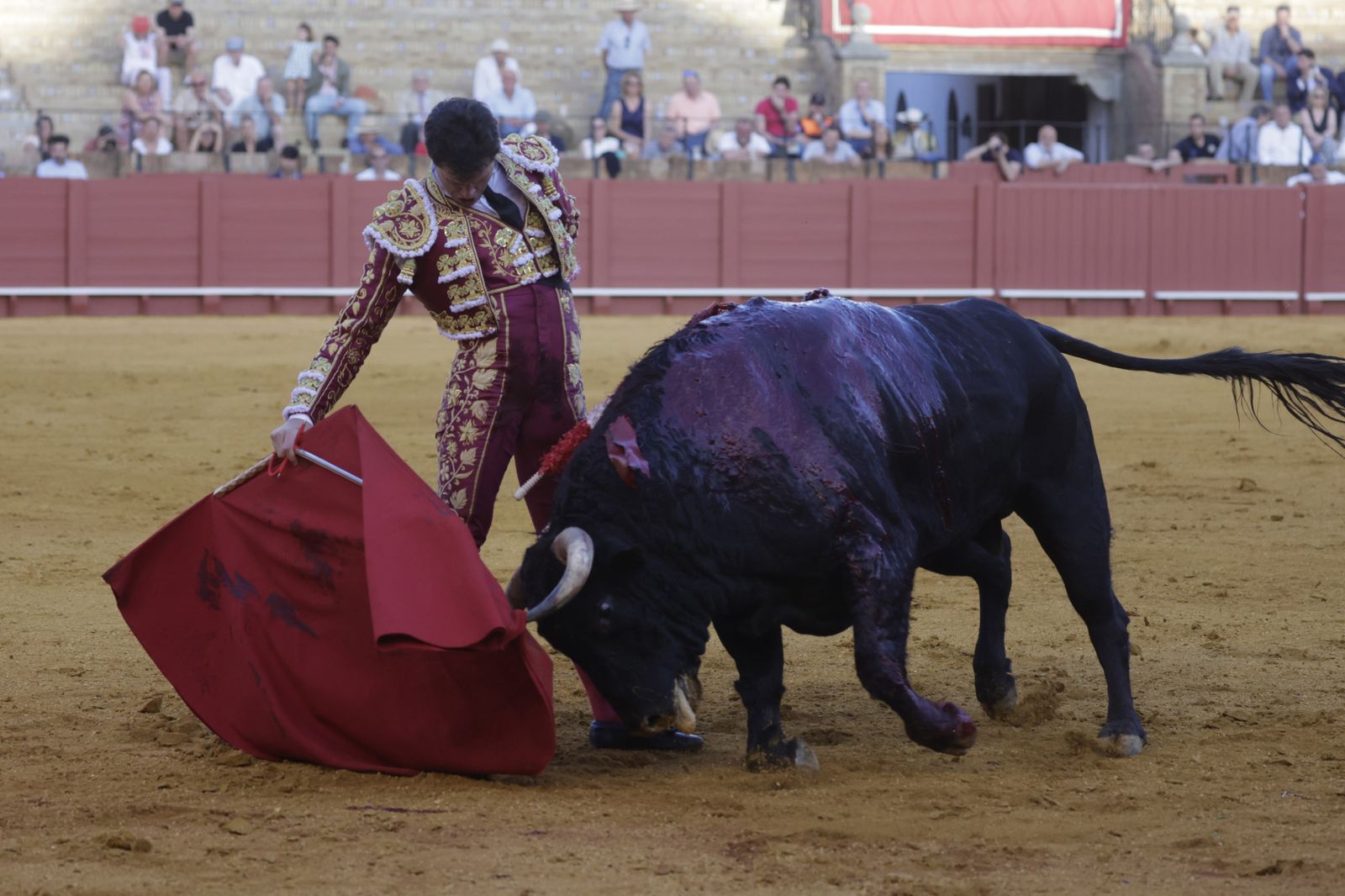 Las Imágenes de la cuarta corrida de abono en la Maestranza de Sevilla