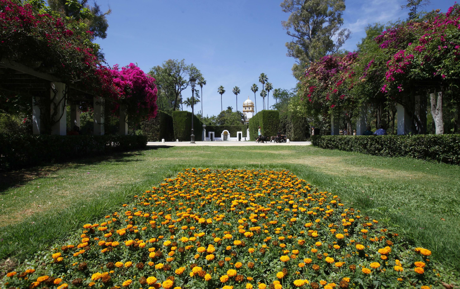 Uno de los jardines del Parque de María Luisa de Sevilla, uno de los pulmones verdes de la ciudad con mayor extensión.