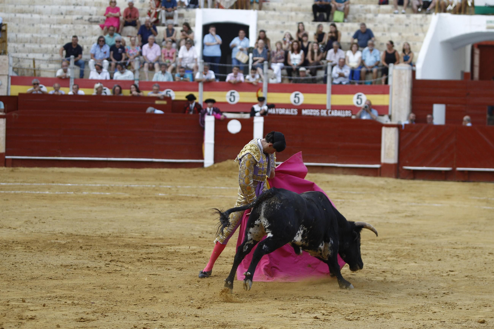Imágenes de la novillada de la Feria de Almería 2025