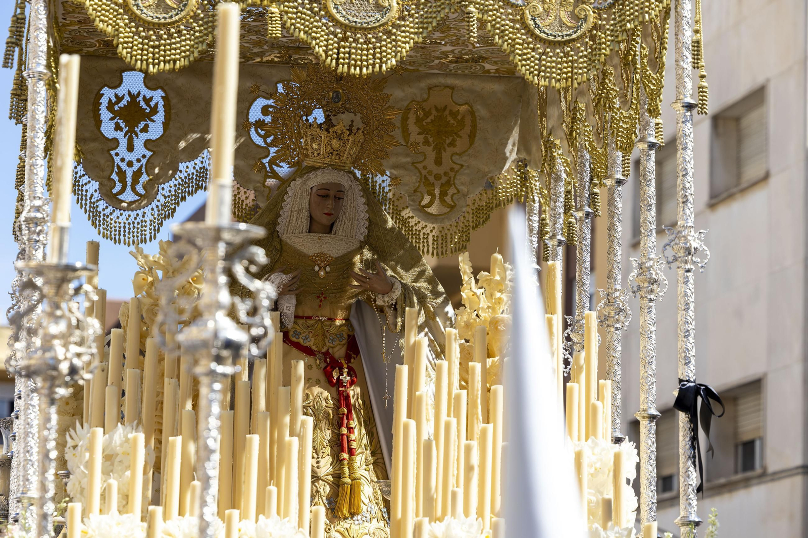 Imágenes de la salida de la Borriquita en la Semana Santa de El Puerto 2025