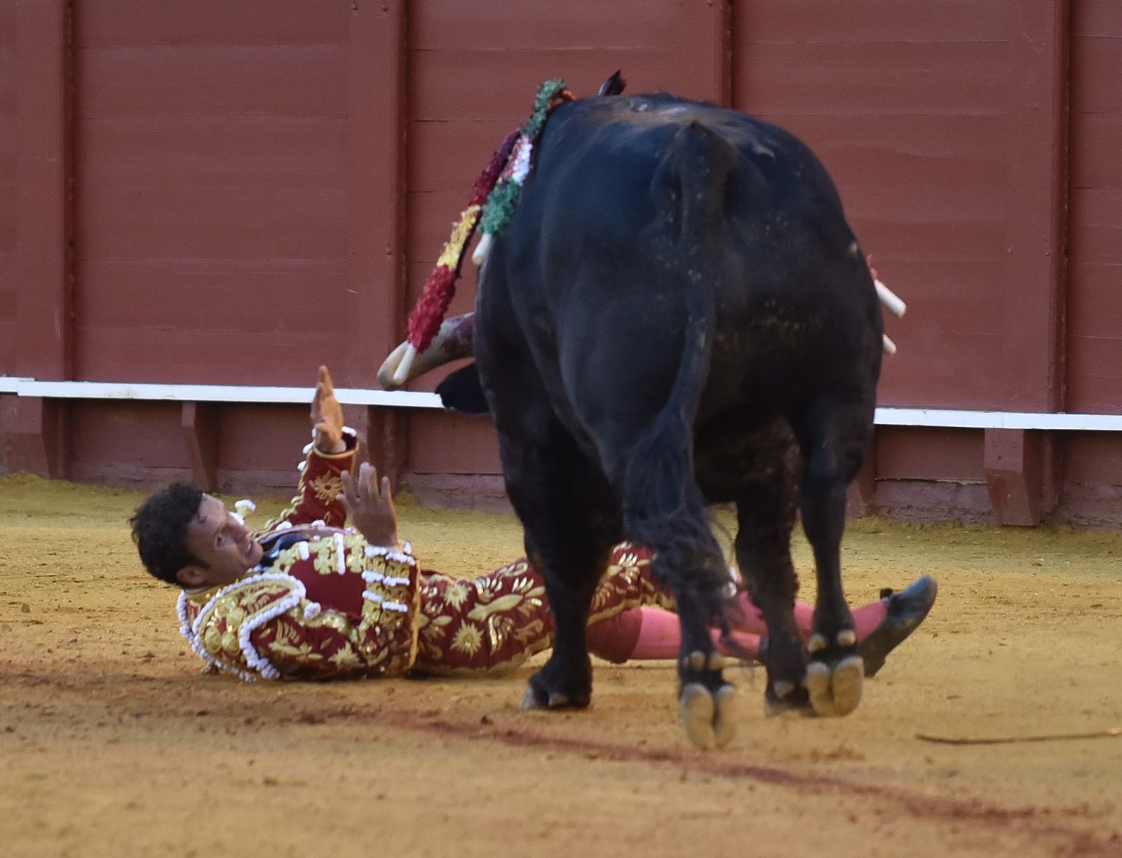 Las imágenes de la 13ª corrida de abono de La Maestranza