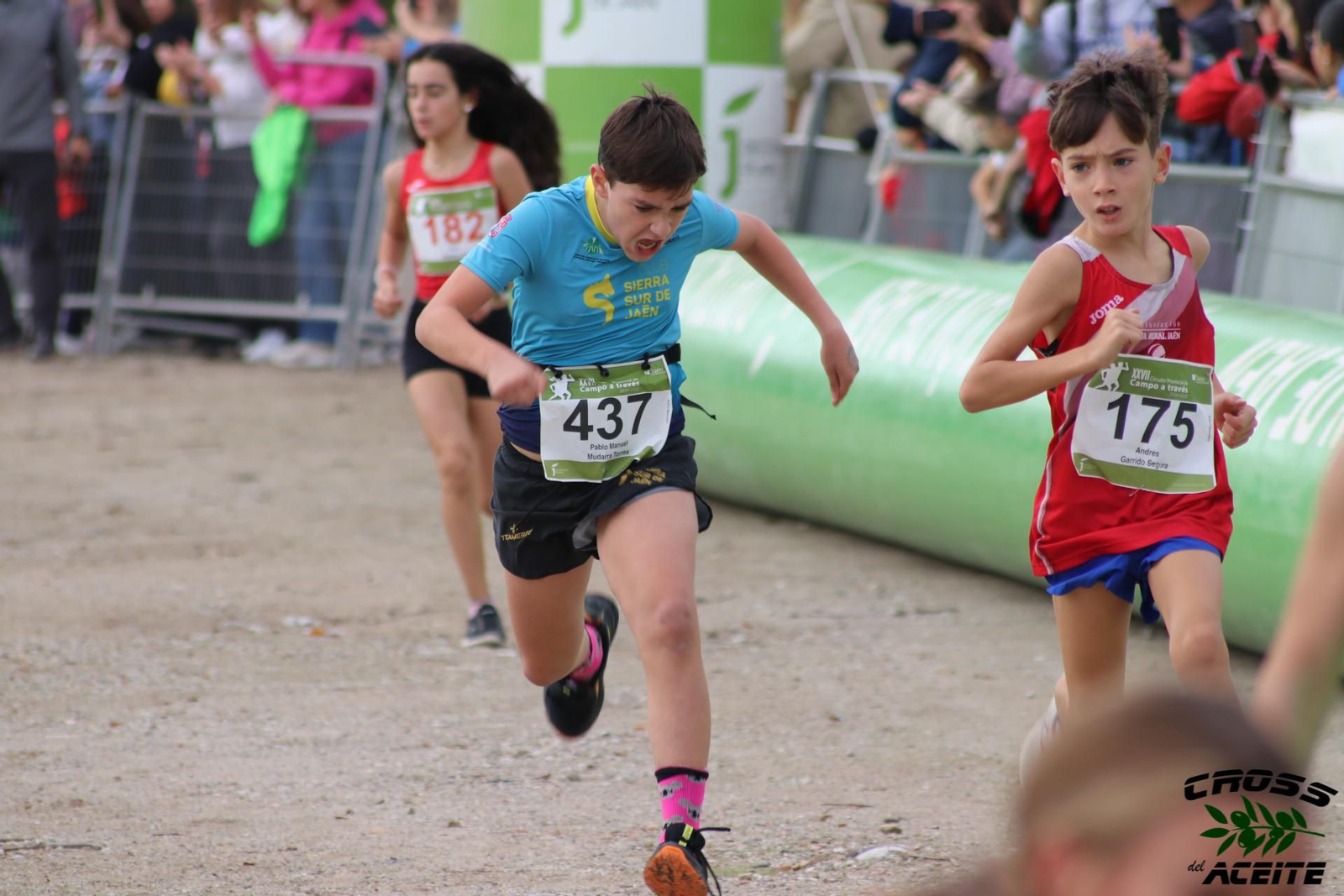 La emoción de la 39 edición de la Cross del Aceite de Torredonjimeno, en imágenes