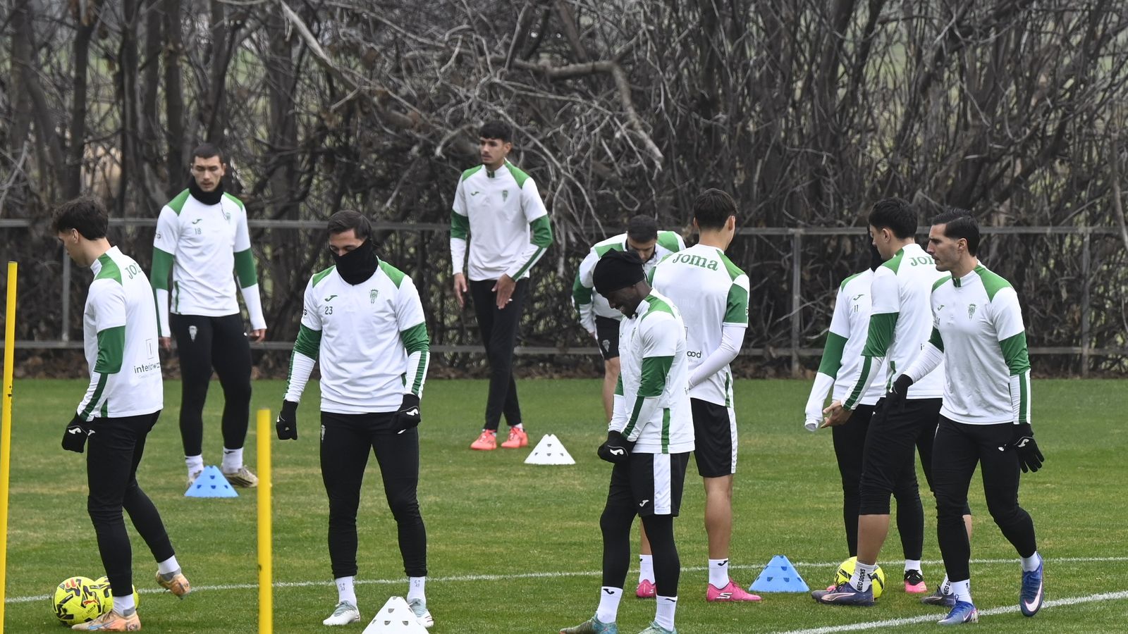 Los jugadores del Córdoba CF trabajan en la Ciudad Deportiva.