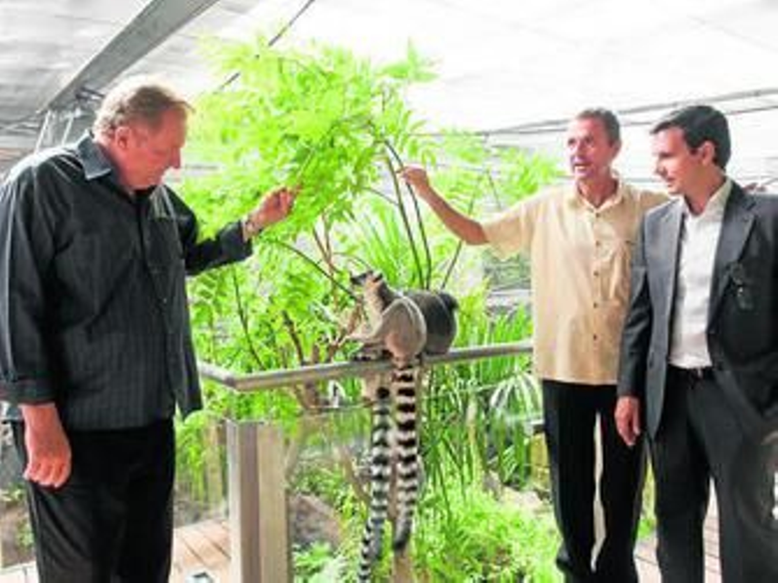 Presentación del proyecto en el recién estrenado Biodomo.
