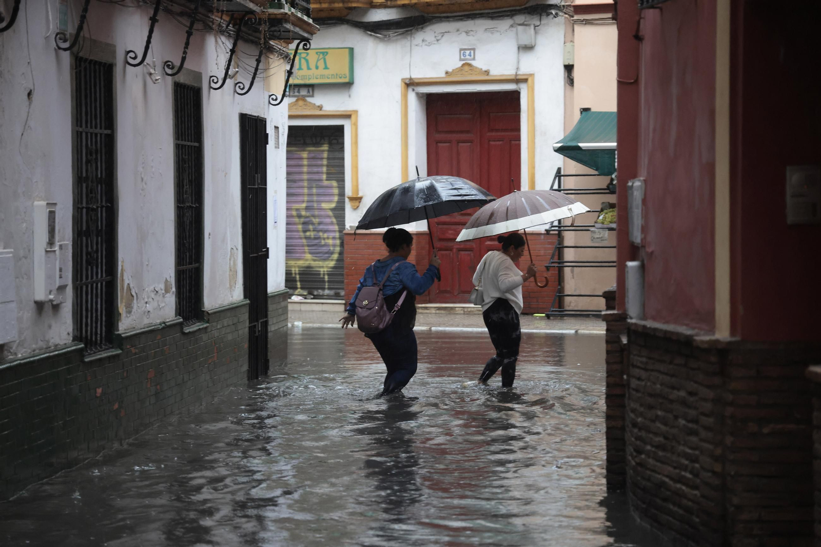 El centro de Sevilla anegado, todas las fotos.