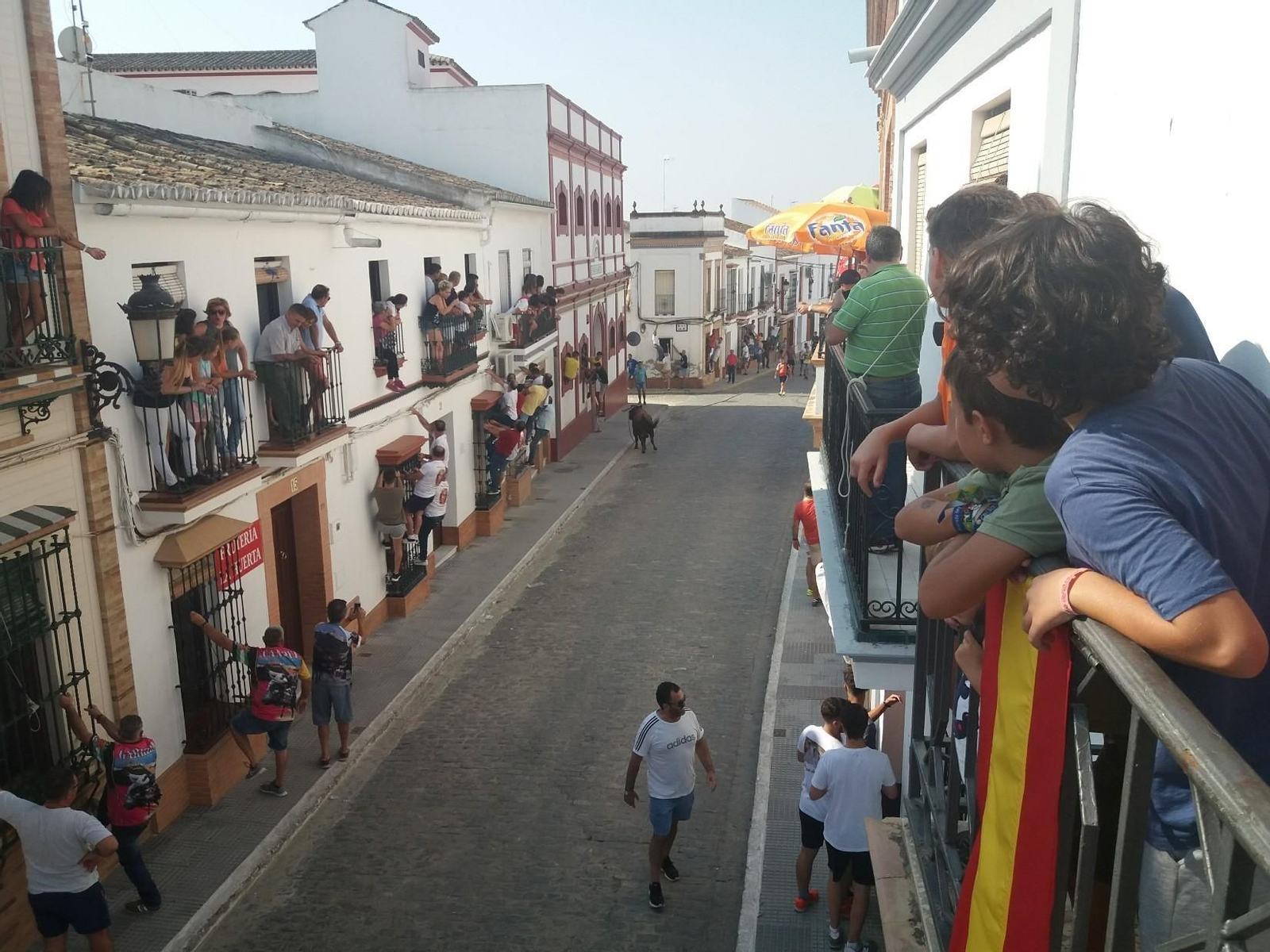 Dos imágenes de la suelta del toro que tuvo lugar ante cientos de vecinos.