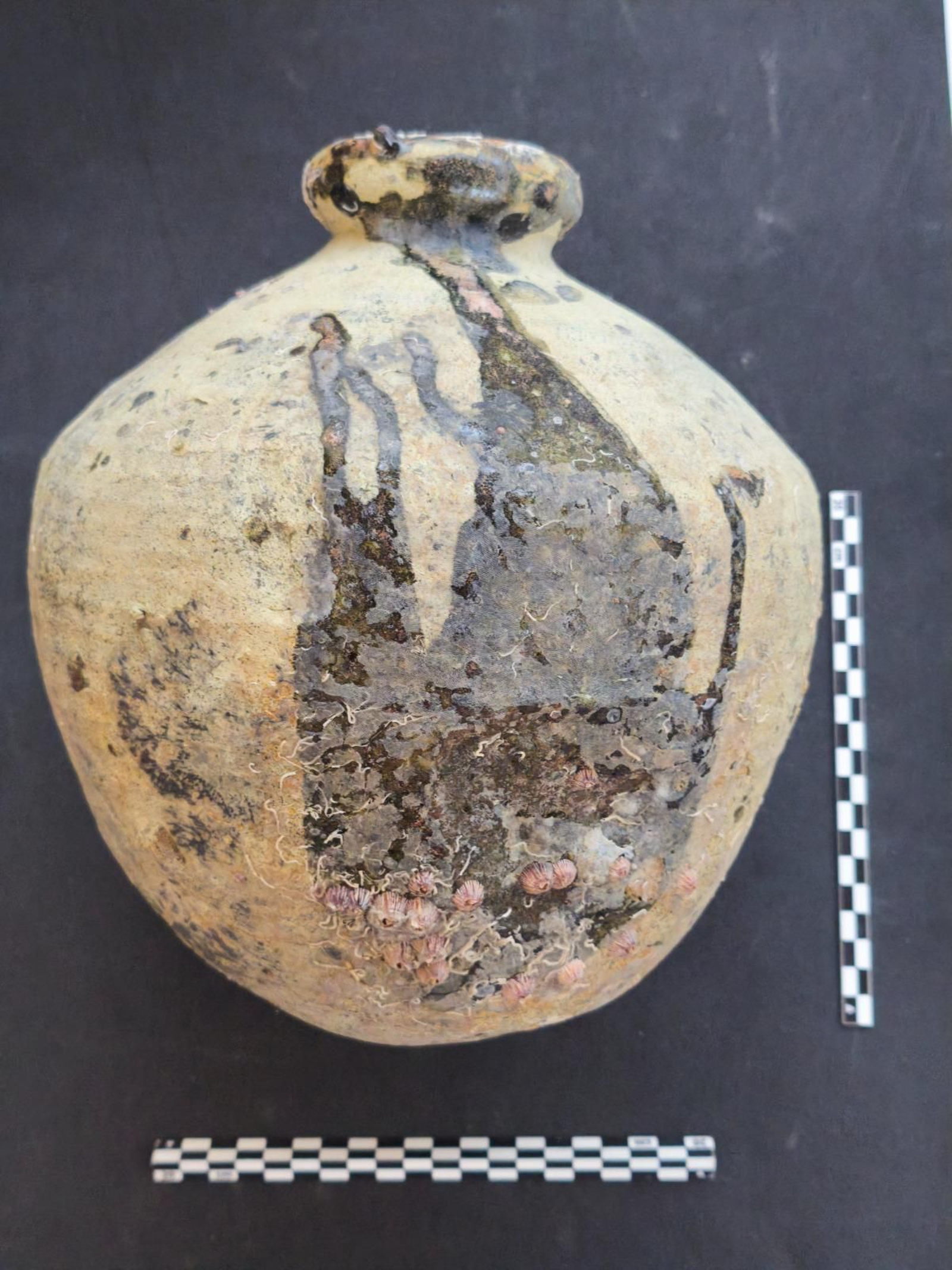 Botijo localizado en aguas de Cádiz vinculados probablemente a un pecio del siglo XVII