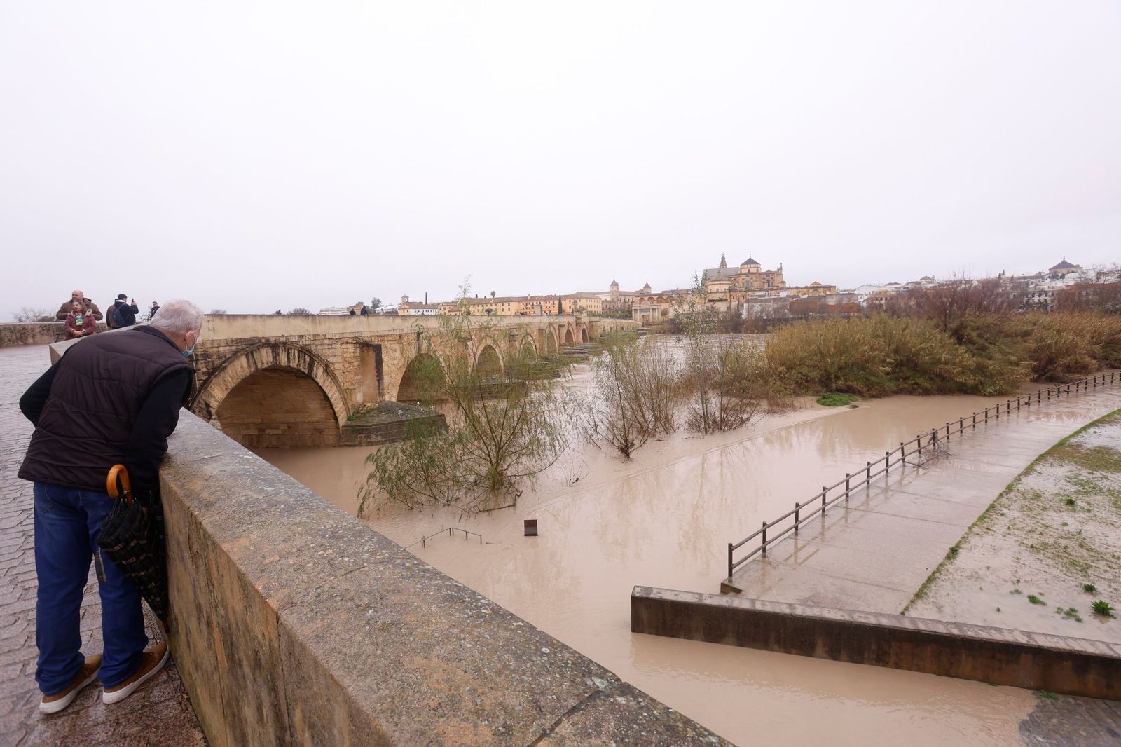 Así pasa el río Guadalquivir este lunes por Córdoba