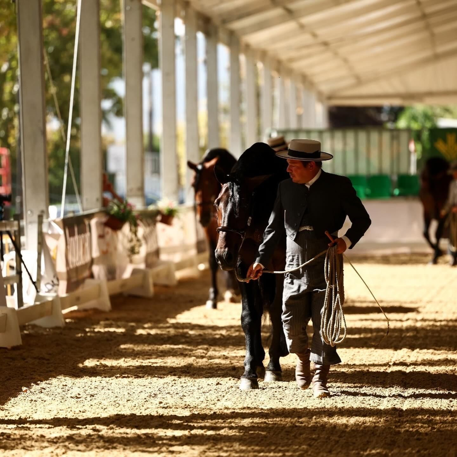 Así es el bello concurso de caballos de Andújar, en imágenes