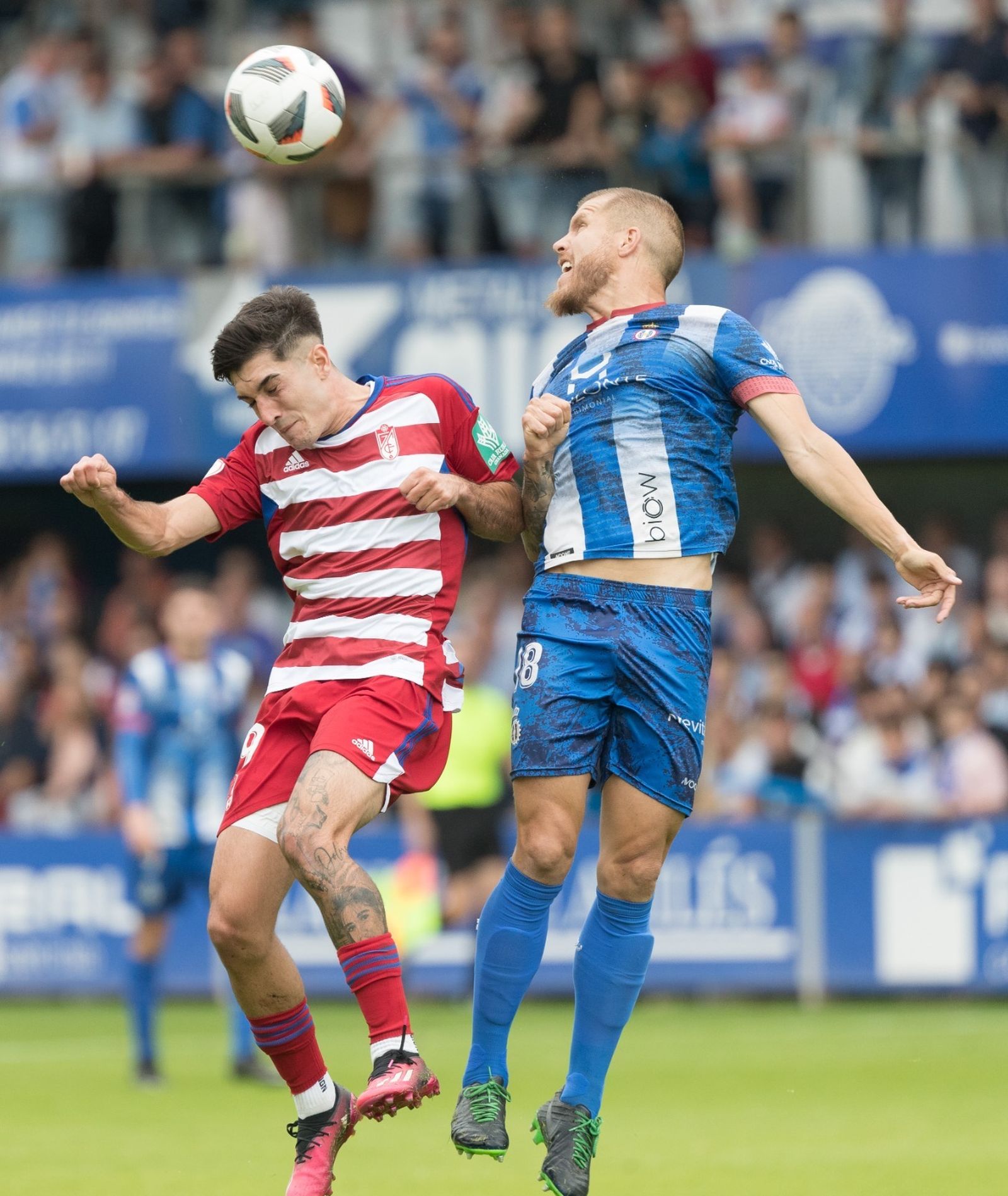 El ascenso del Recreativo Granada, en imágenes