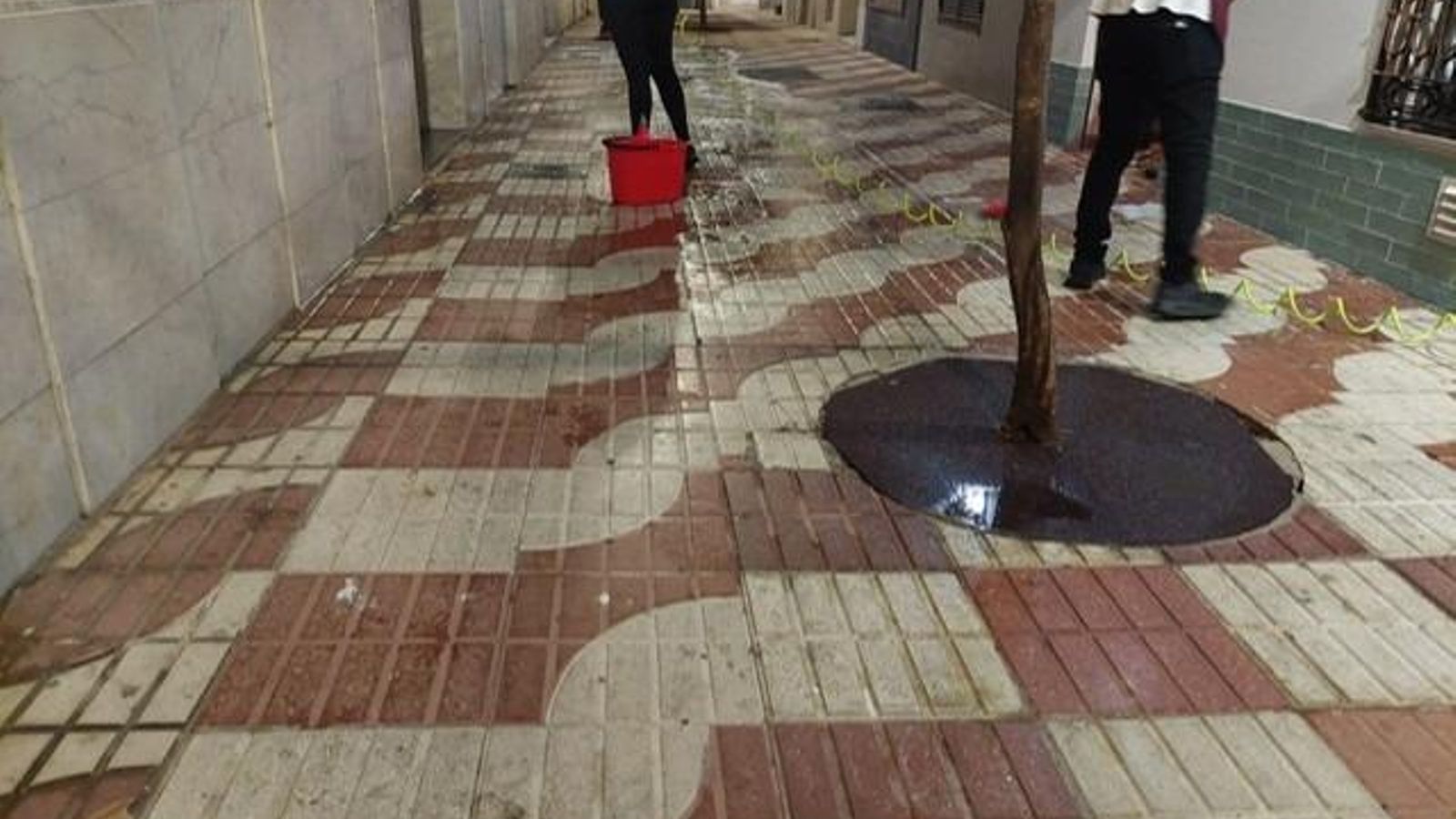 Trabajadores del negocio, limpiando la calle.