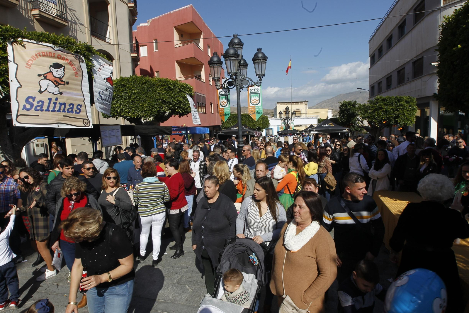 Fotogalería Día de la Naranja en Gádor