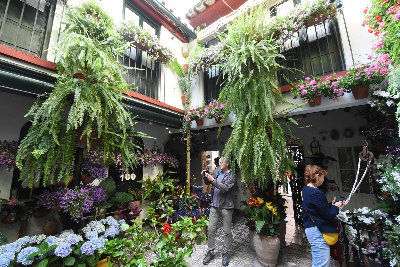 Una ruta en imágenes por los patios de la Judería y San Francisco