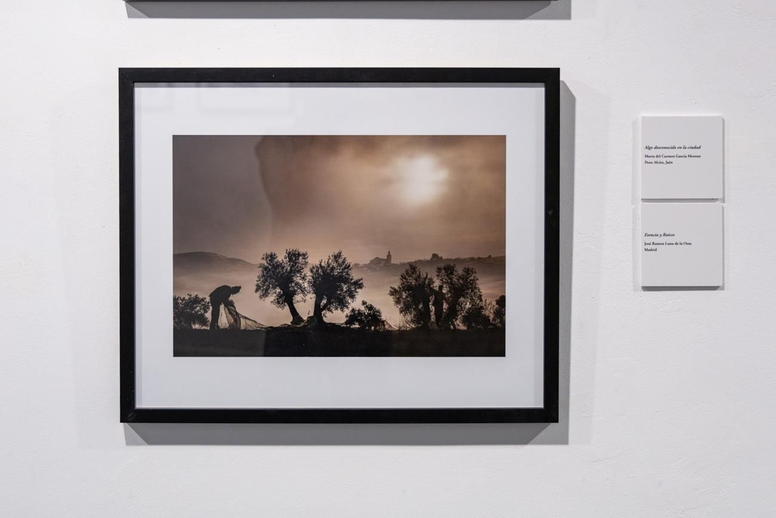 Fotografía para un mundo mejor en la Escuela José Nogué
