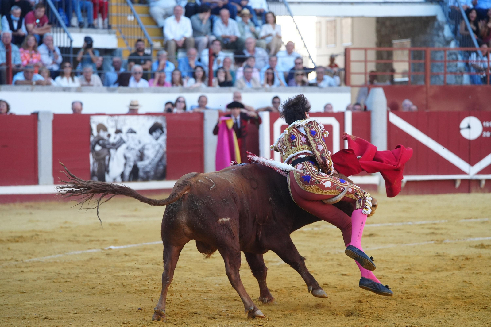 El triunfo de Rocío Romero, Manzanares y Roca Rey en la plaza de toros Pozoblanco, en imágenes