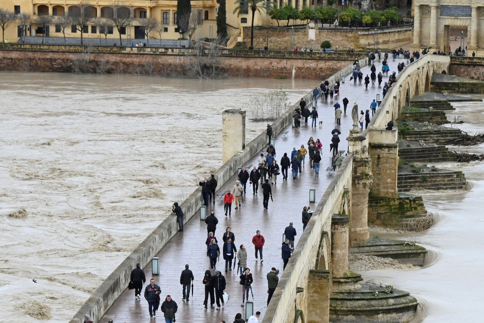 La impresionante crecida del río Guadalquivir: se acerca a los 6 metros a su paso por Córdoba