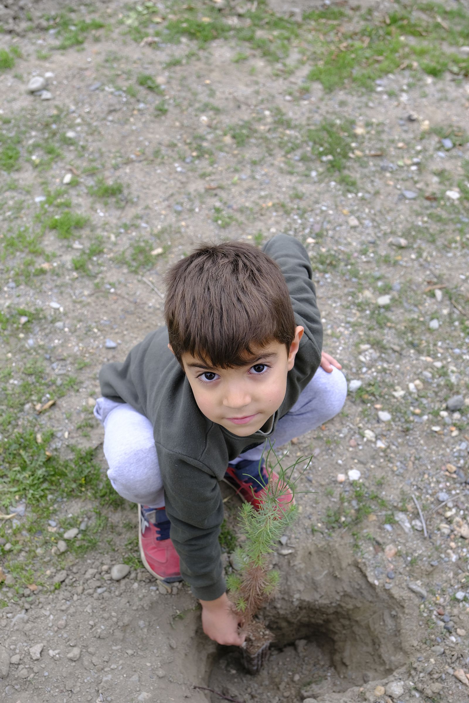Plantación de árboles en el Parque del Andarax. Día de Andalucía.