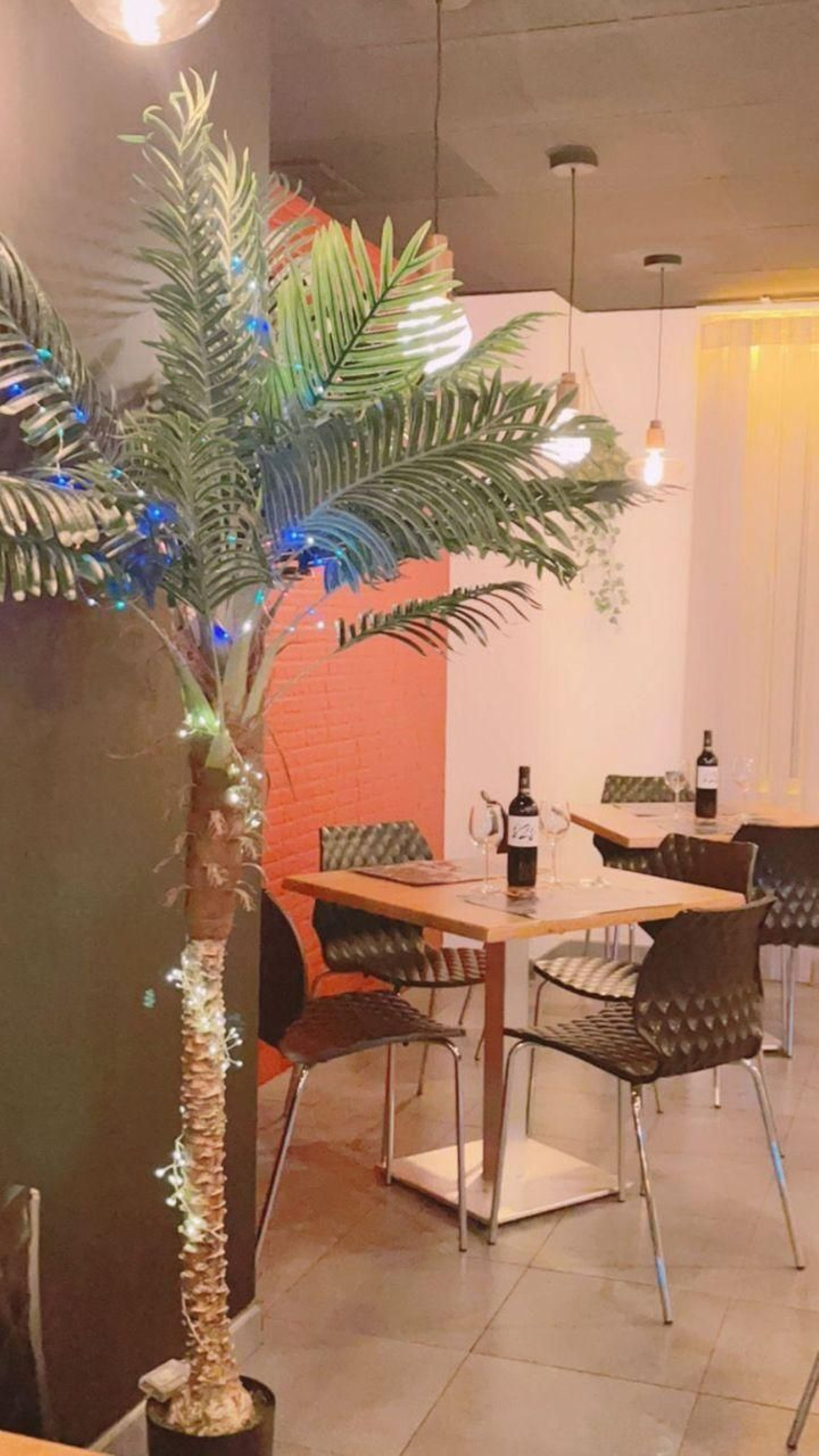 Interior de Floripa.