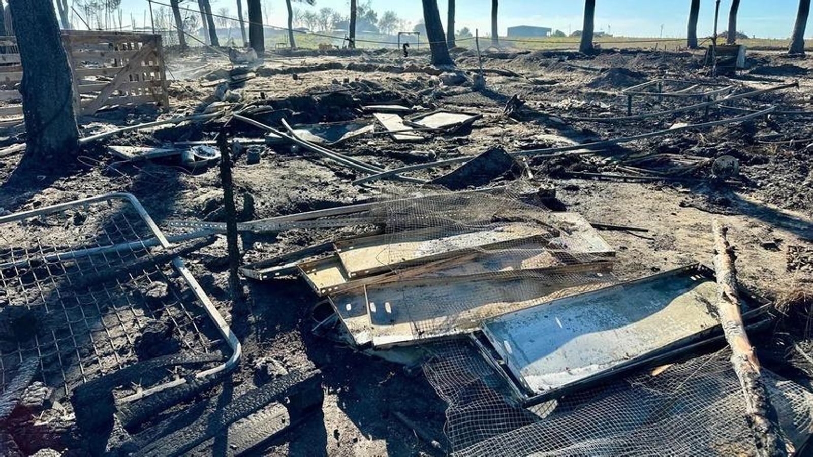 Restos quemados tras el incendio. Restos quemados tras el incendio.