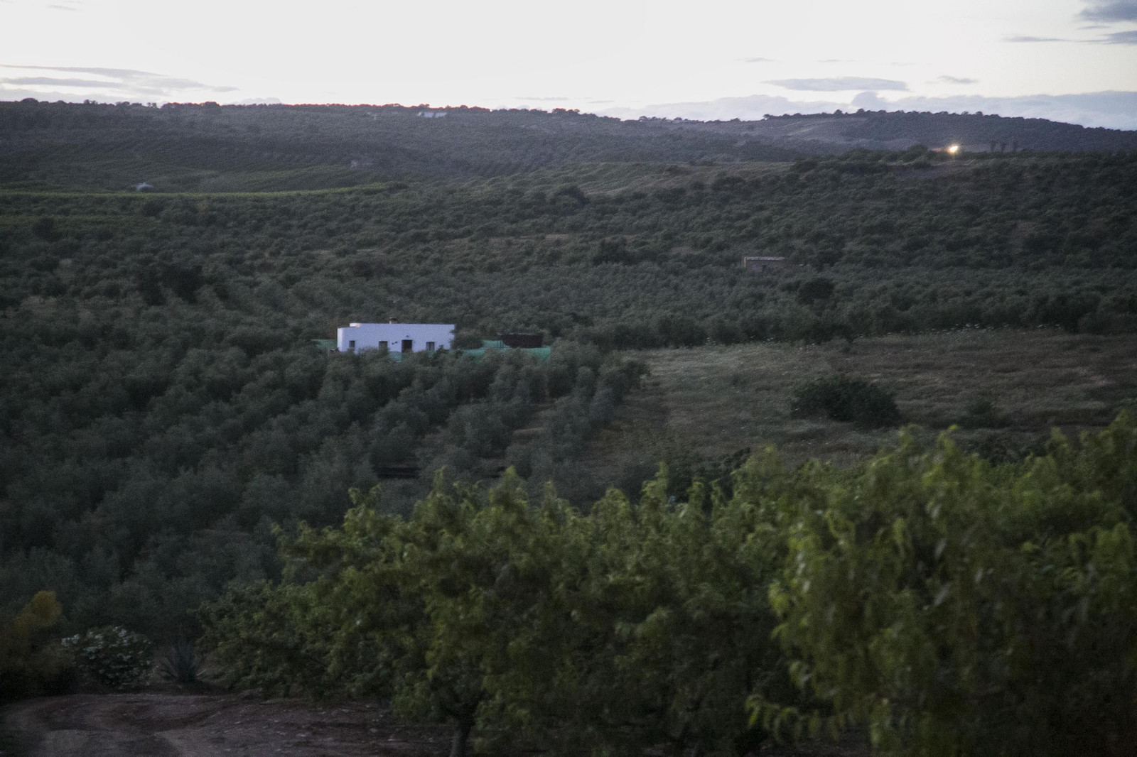 El crimen machista de Alcolea, en imágenes