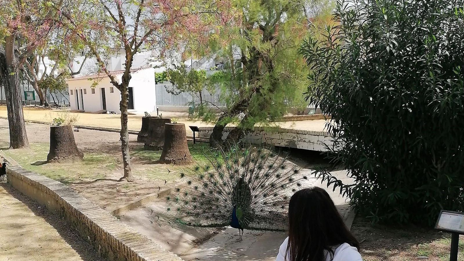 Interior del Parque de la Toya de Trebujena.