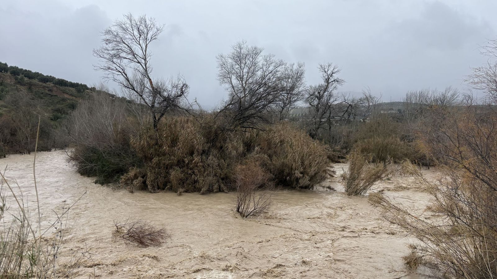 La crecida del río.