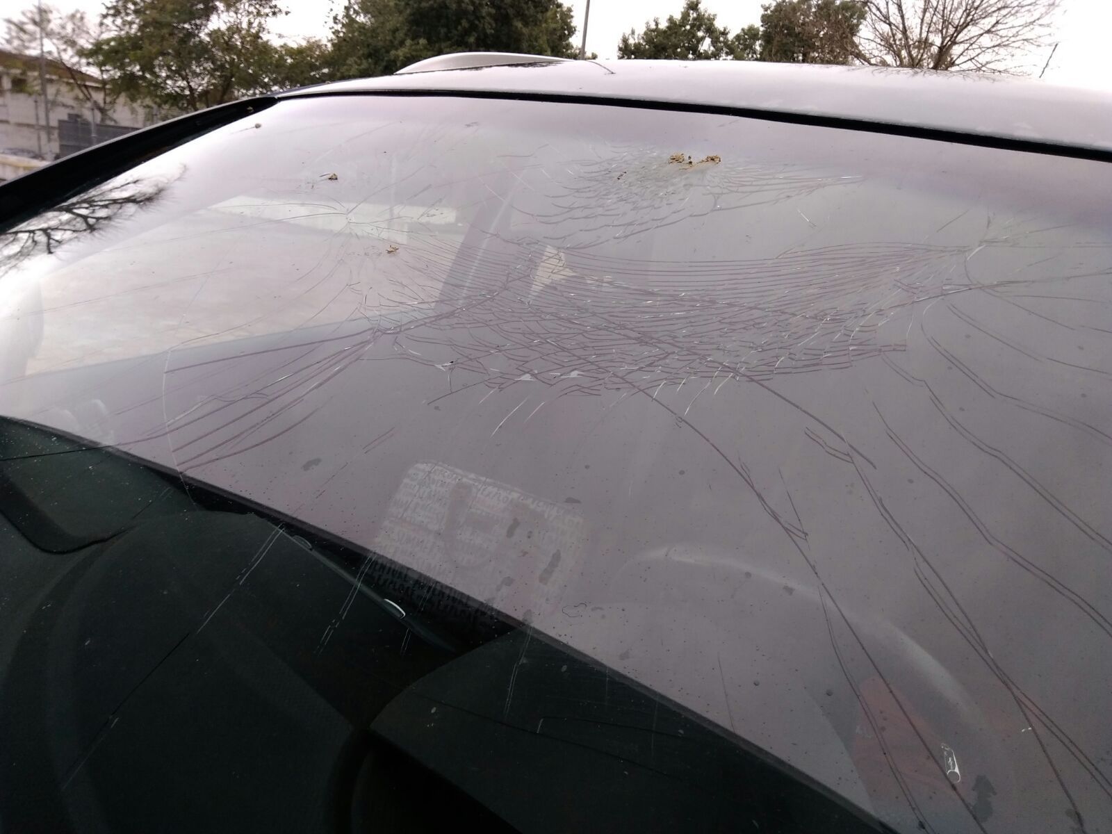 Estado en el que quedó la luna delantera del coche de una profesora del IES San Telmo de Jerez.