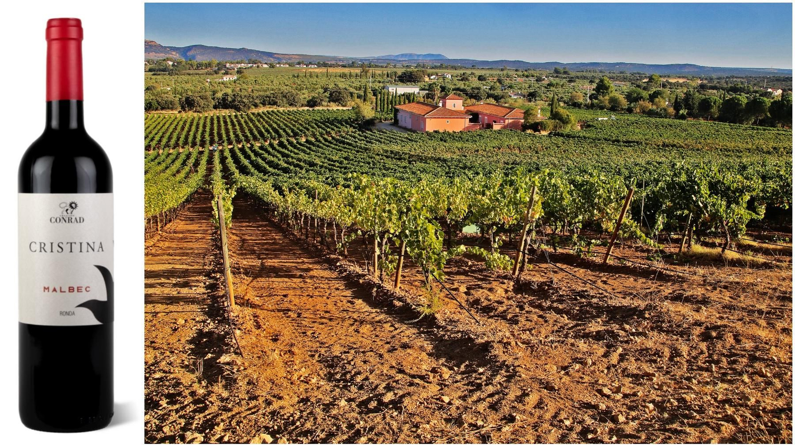 El vino Cristina, de Bodegas Conrad, y los viñedos que le dan forma.