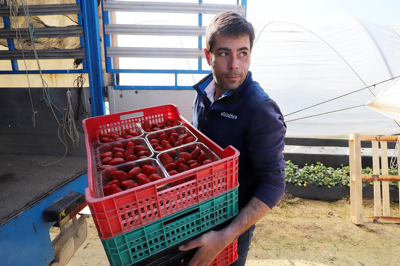 Imágenes de la realidad del trabajo en el campo
