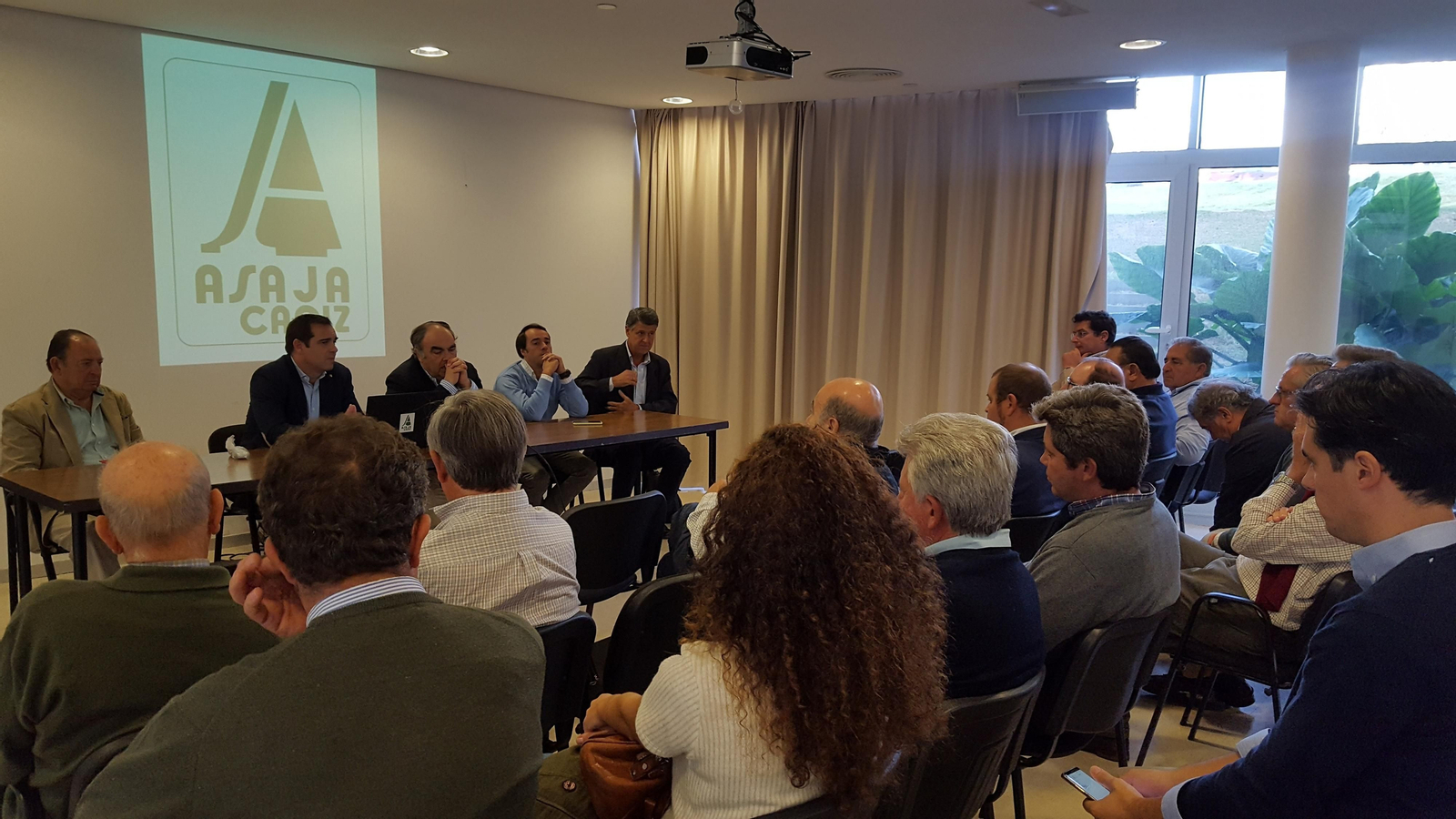 Viñistas independientes, ayer en la asamblea informativa convocada por Asaja y Asevi y a la que asistieron responsables de Dcoop.